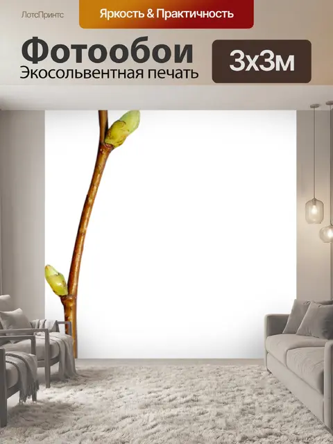 Фотообои Весна