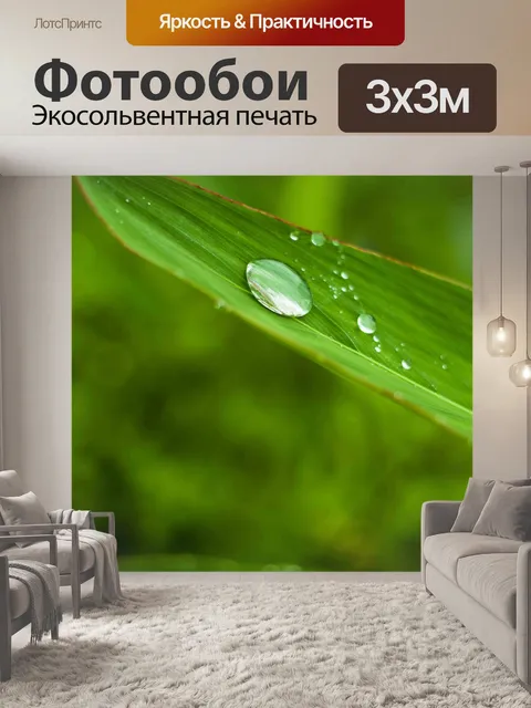 Фотообои Листья бамбука