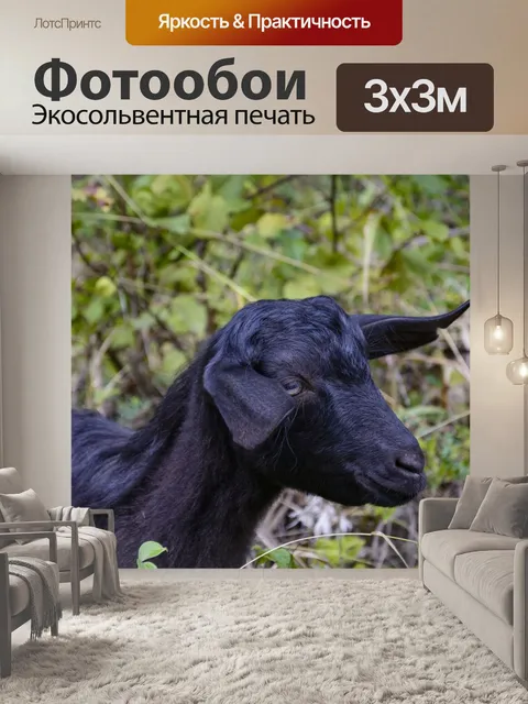 Фотообои Козленок