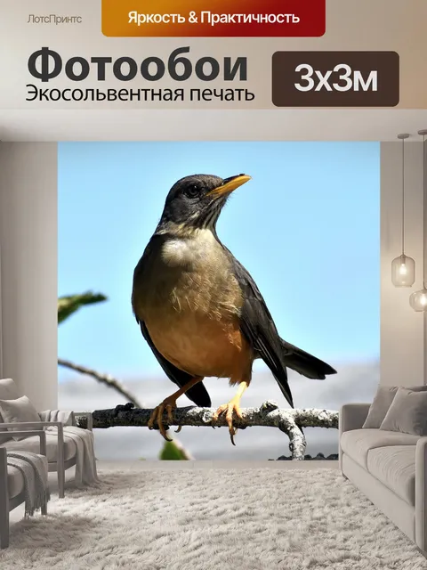 Фотообои Птица