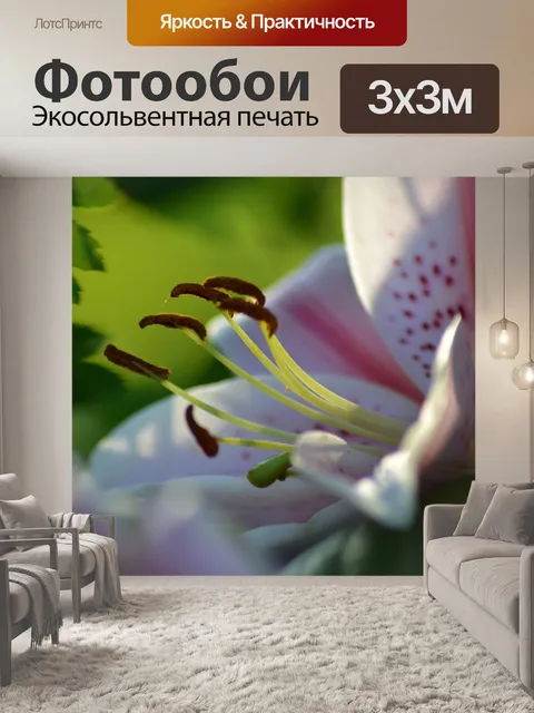 Фотообои Лили