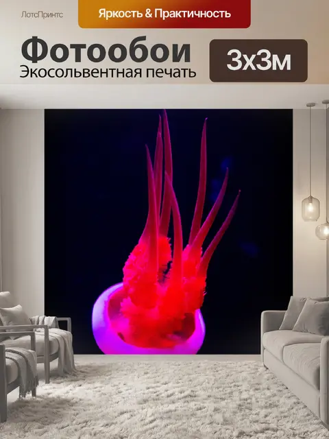 Фотообои медуза