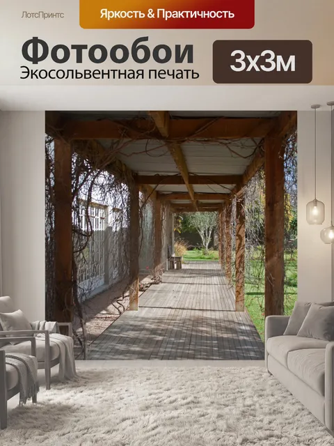 Фотообои Сухие лозы на веранде