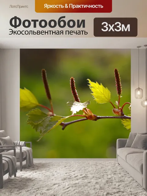 Фотообои Лист