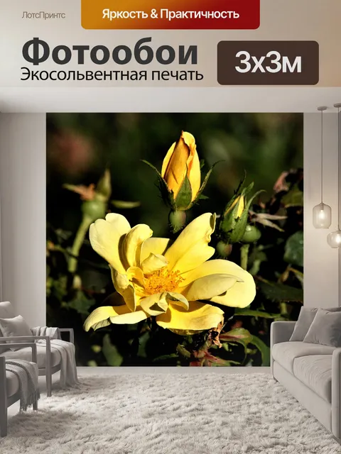 Фотообои Желтая роза и почки