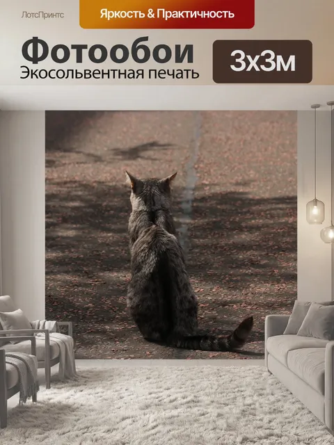 Фотообои Кошка