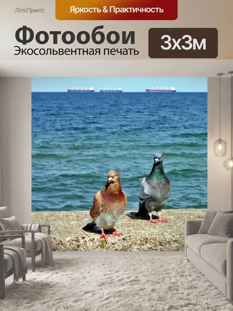 Фотообои Голуби