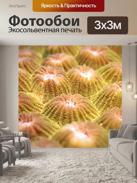 Фотообои Индонезия