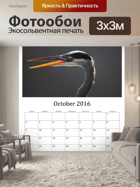 Фотообои Октябрь 2016 Календарь диких птиц