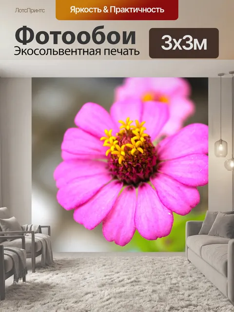 Фотообои Цветок