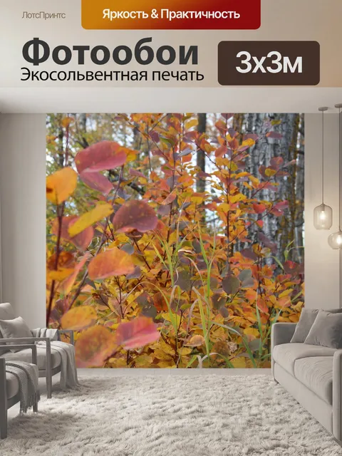 Фотообои Красные листья в лесу