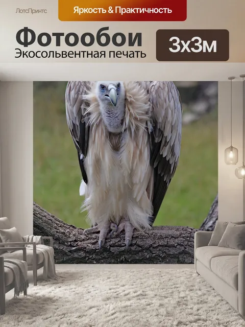 Фотообои Как дела