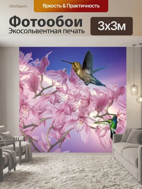 Фотообои Розовая орхидея