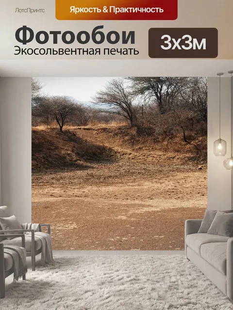 Фотообои Сухая постель на пустой дамбе зимой