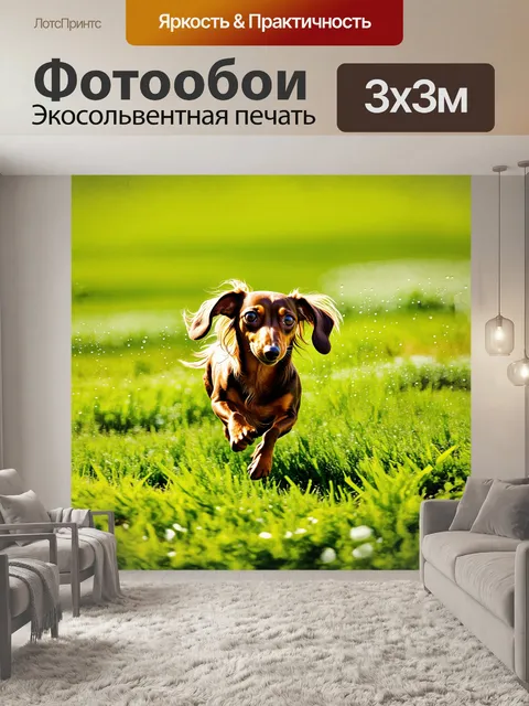 Фотообои длинношерстная такса