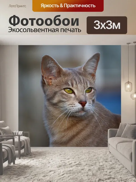 Фотообои Кот