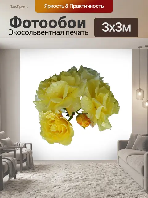 Фотообои Роза