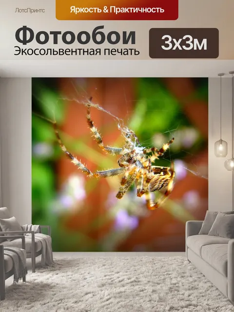 Фотообои Паук