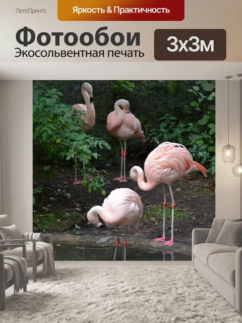 Фотообои Пеликан