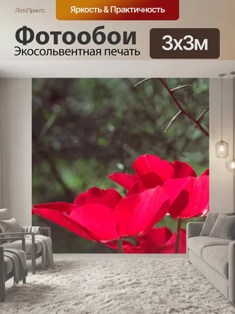 Фотообои Шипы над красными цветами