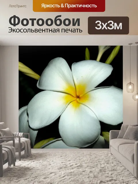 Фотообои Плюмерия Цветы