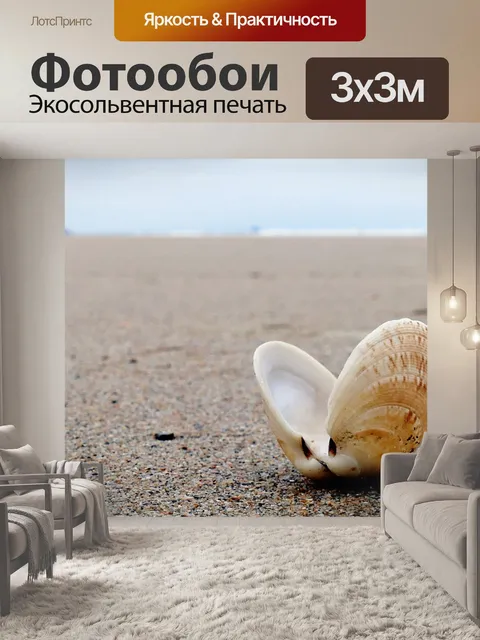 Фотообои Морская ракушка