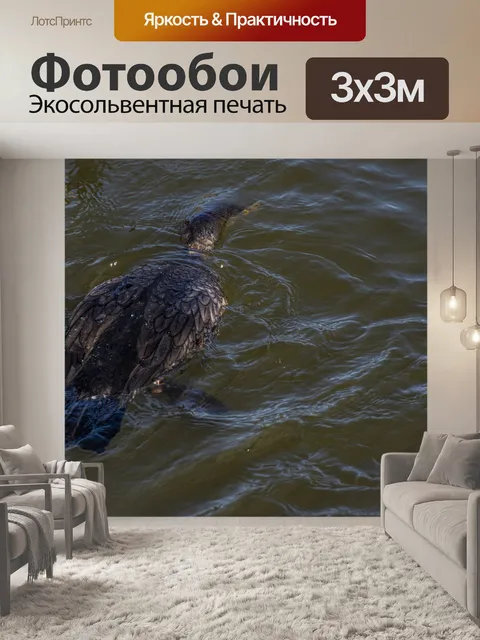 Фотообои Баклан для дайвинга