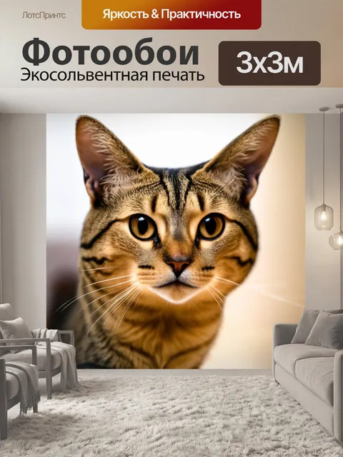 Фотообои кот, смешно смотрящий в камеру с высоко приподнятыми ушами
