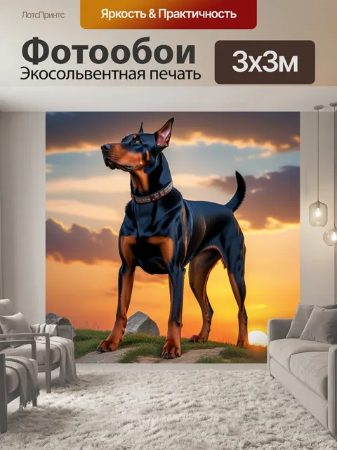 Фотообои добрман на фоне заката, стоящий на холме