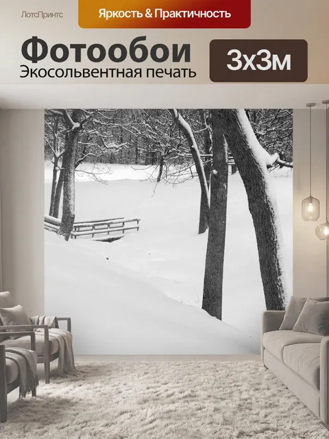 Фотообои Заснеженные Крик