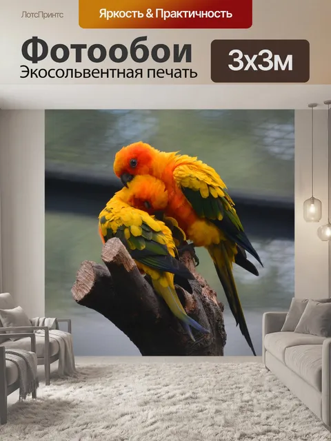 Фотообои Птицы
