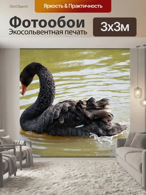 Фотообои Черный лебедь серия 1 водный балет
