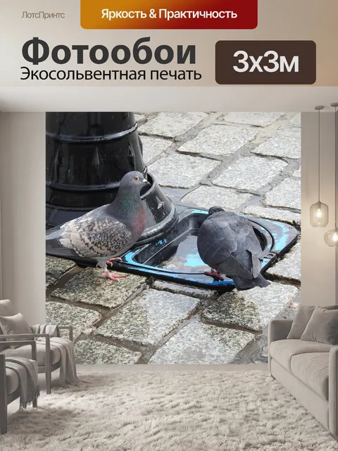 Фотообои Птицы