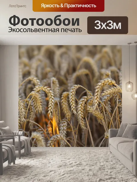 Фотообои Рожь пшеничная урожая ячменя