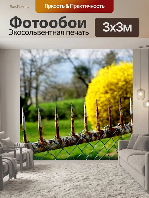 Фотообои Изгородь