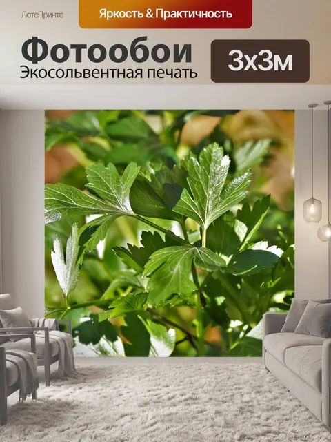 Фотообои Петрушка