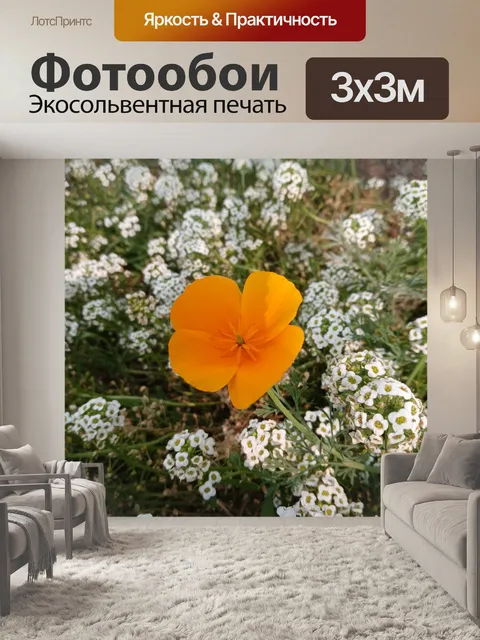 Фотообои Калифорнийский мак