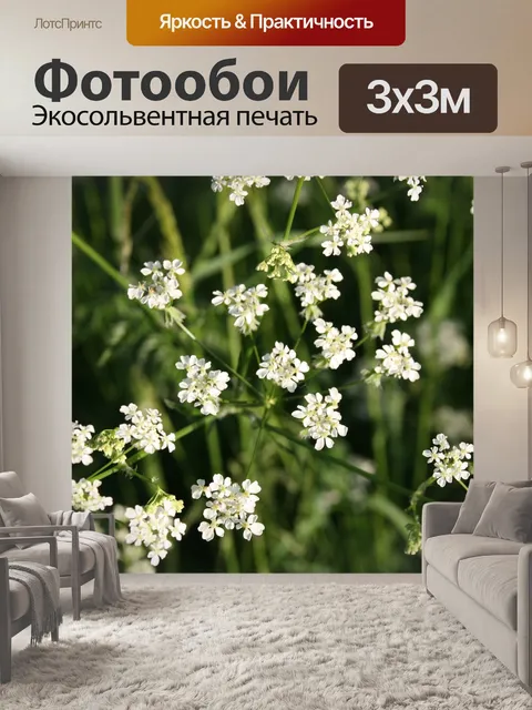 Фотообои Цветы