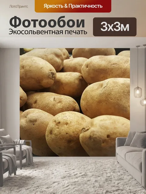 Фотообои Картошка