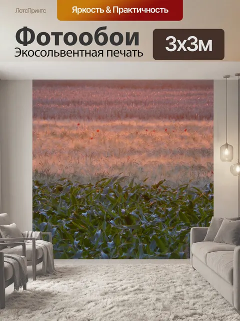 Фотообои Поля