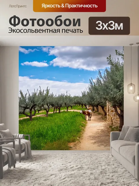 Фотообои греция, путь с оливковыми деревьями, зелёные поля, тайные уголки, ароматы природы, вдоль дороги пасущиеся…