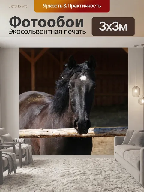 Фотообои Черный конь