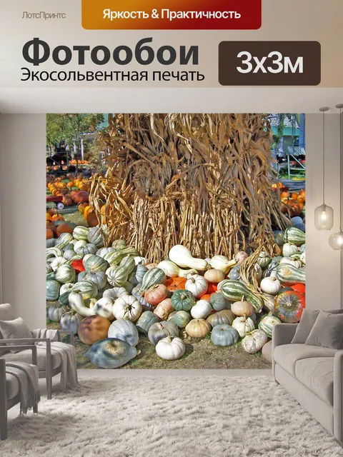 Фотообои Тыквы, кабачки, и тыквы