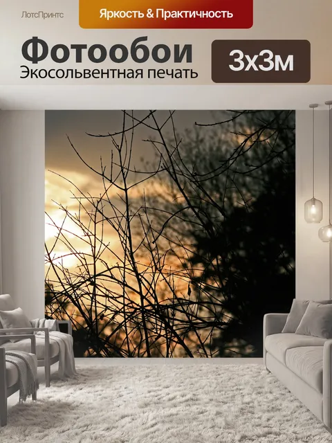 Фотообои веточки в закат