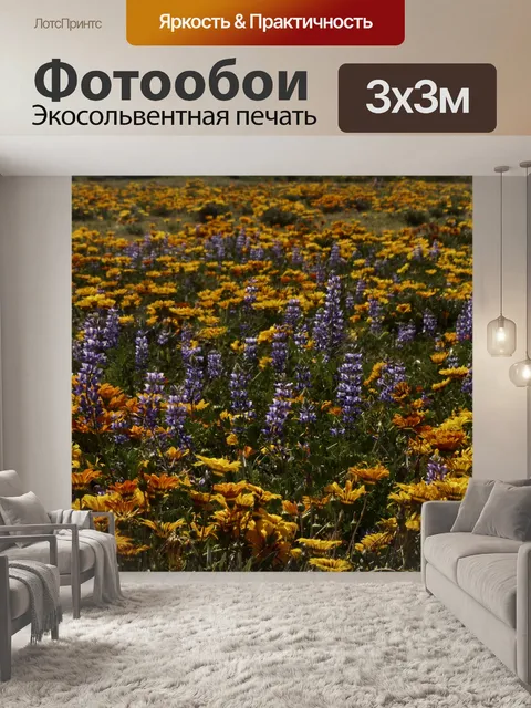 Фотообои Поле полевых цветов