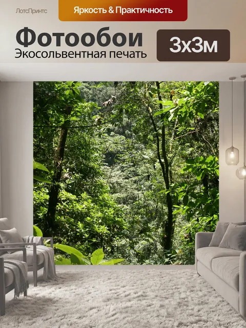 Фотообои Коста-Рика тропических лесов