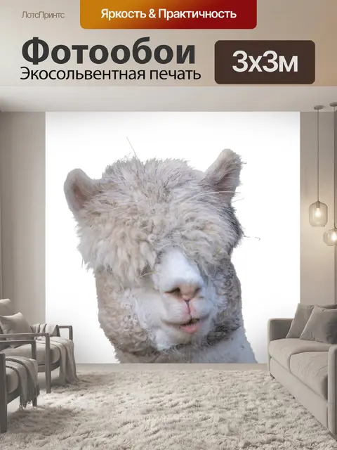 Фотообои Альпака, животное, горная лама