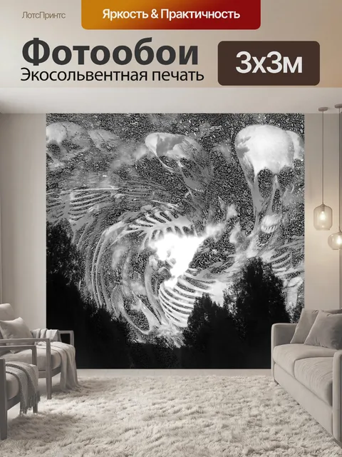 Фотообои Скелеты преследовать Небо - черный и бел