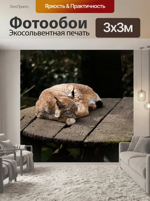 Фотообои Природа