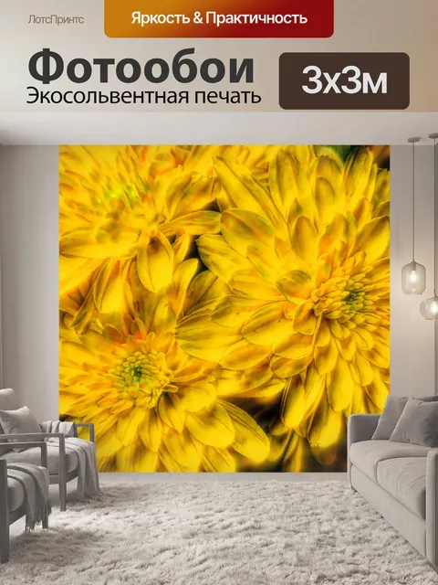 Фотообои Мечтательные хризантемы